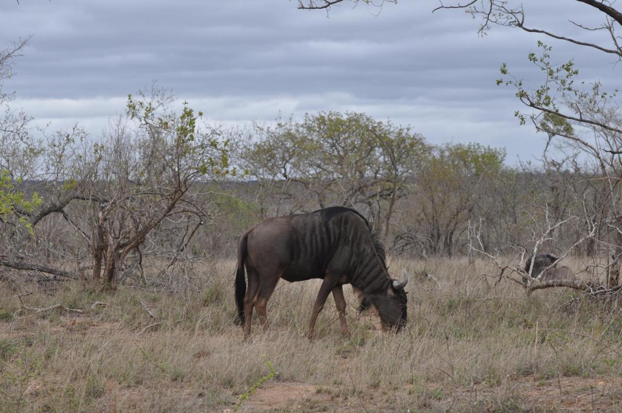 Hazyview Buffalo Game Lodge Exterior photo